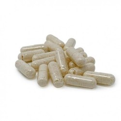 Golden Teacher Magic Mushrooms | 500mg